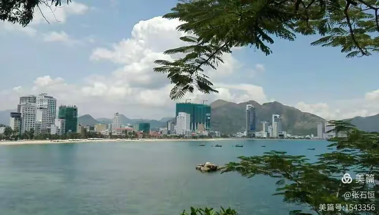 见闻金兰湾(二)